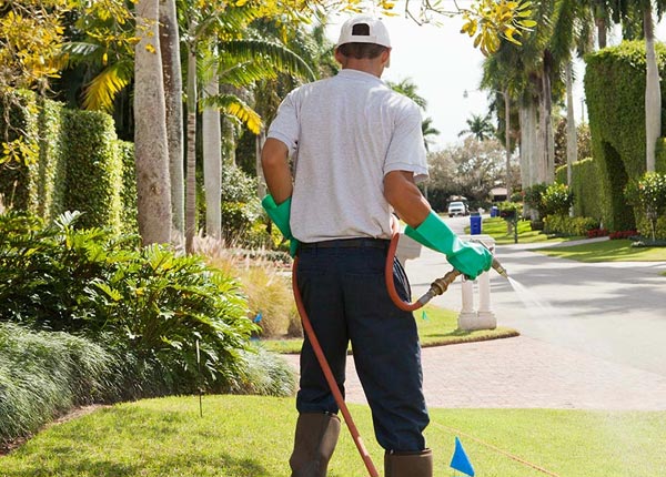 About Tulsa OK Pest Control
